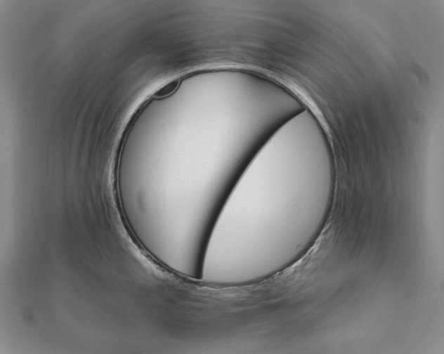 X0000111911197200908101154