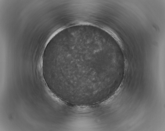 X0000111911198200908101154