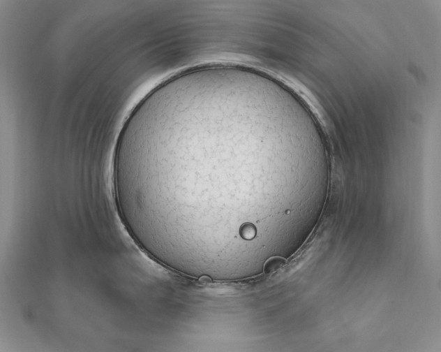 X0000111911199200908101154