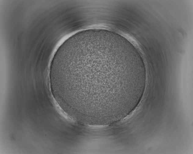 X0000111911200200908101154