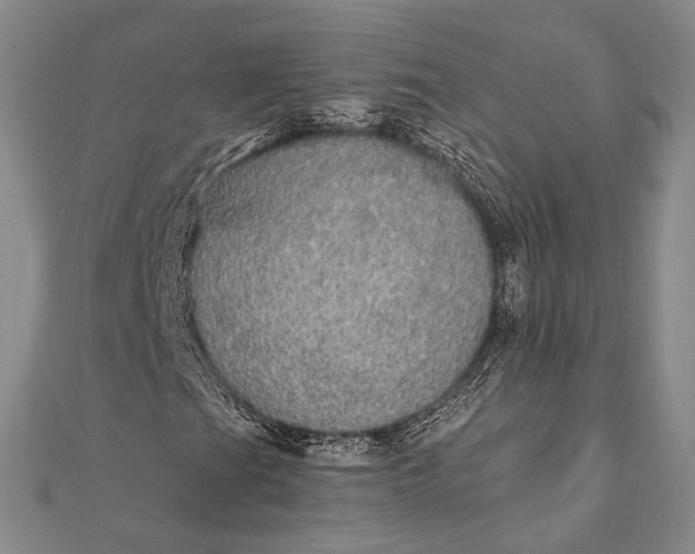 X0000111911201200908101153