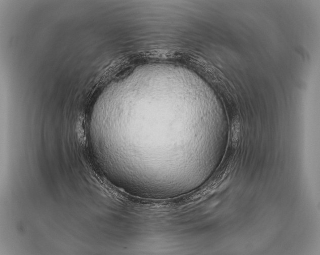 X0000111911202200908101153