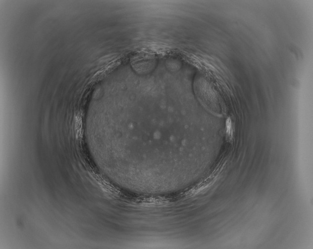 X0000111911203200908101153