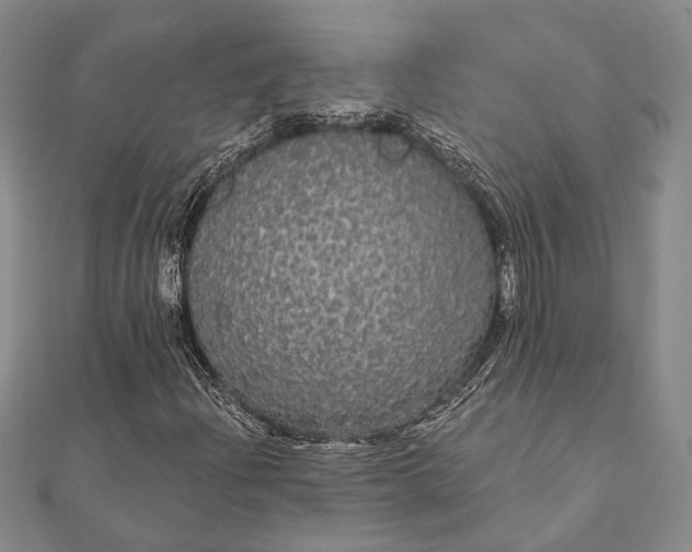 X0000111911204200908101153