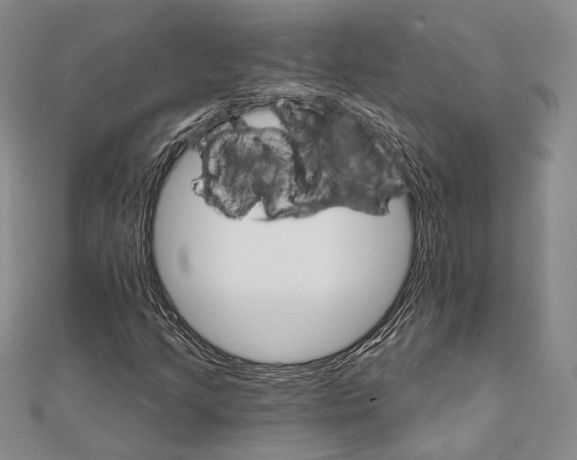 X0000111911205200908101153