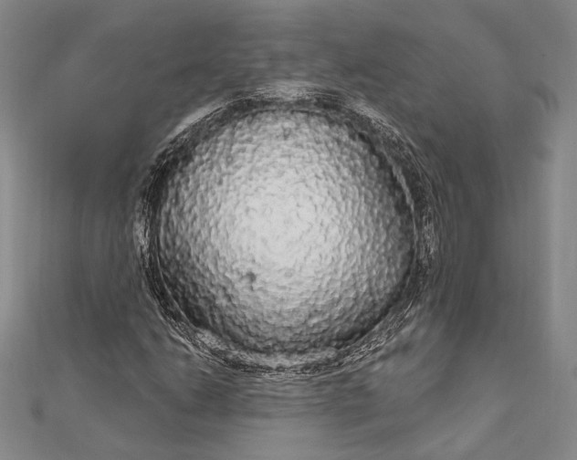 X0000111911206200908101153