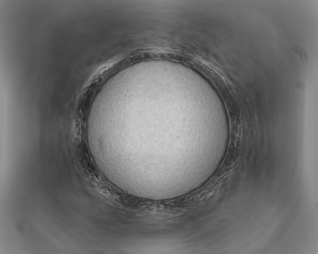 X0000111911207200908101153