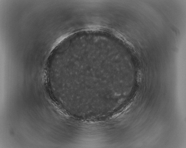 X0000111911208200908101153