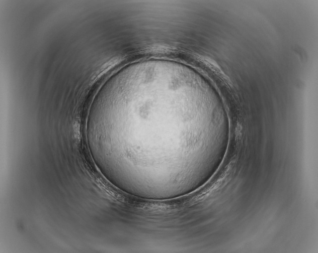 X0000111911209200908101153