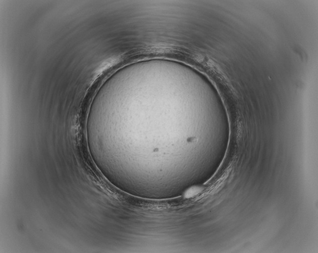 X0000111911210200908101153