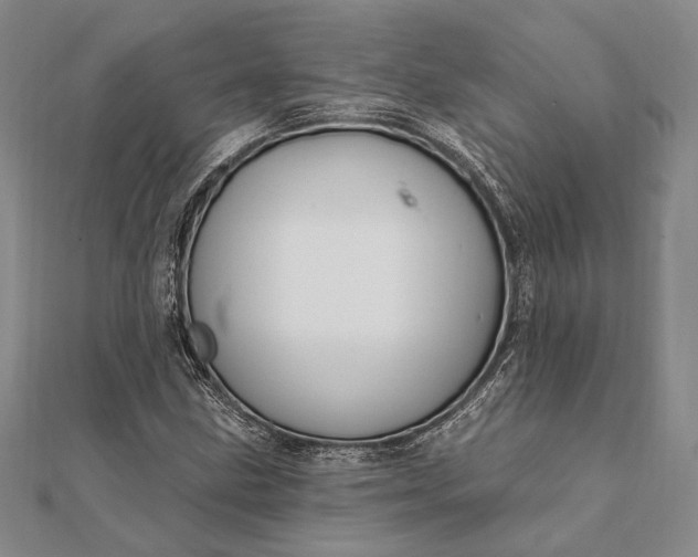 X0000111911211200908101153