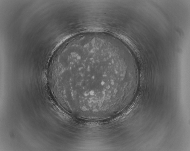 X0000111911212200908101153