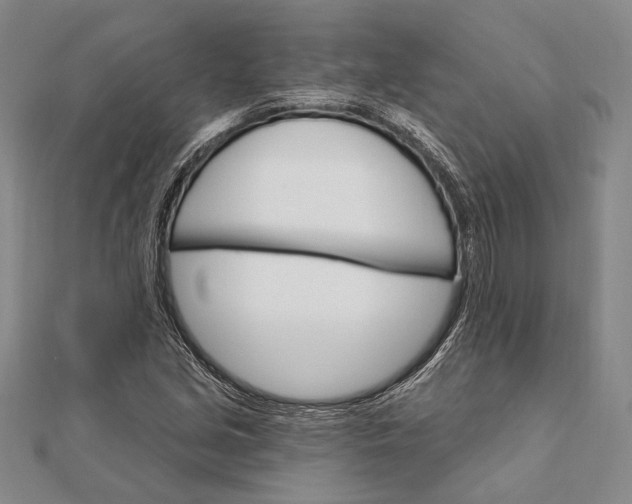 X0000111911213200908101153