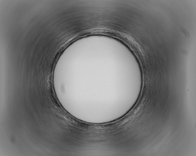 X0000111911217200908101153