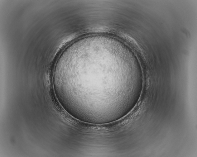 X0000111911218200908101153