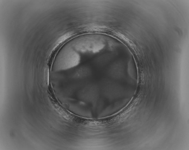 X0000111911219200908101153