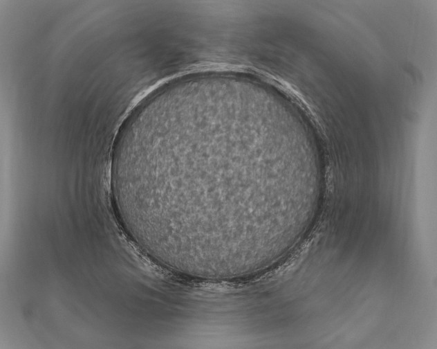 X0000111911220200908101153