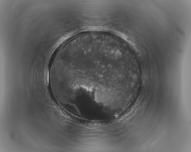 X0000111911221200908101153