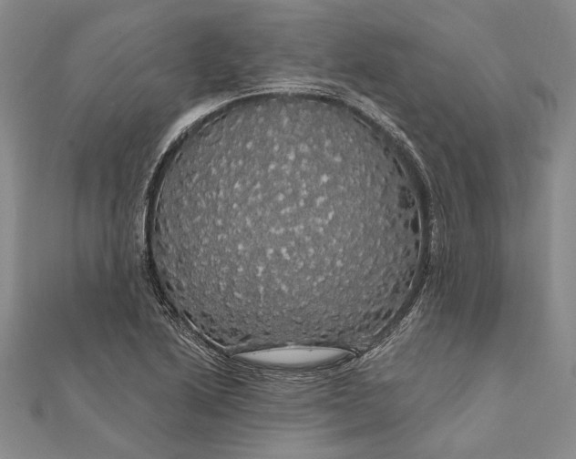 X0000111911222200908101153