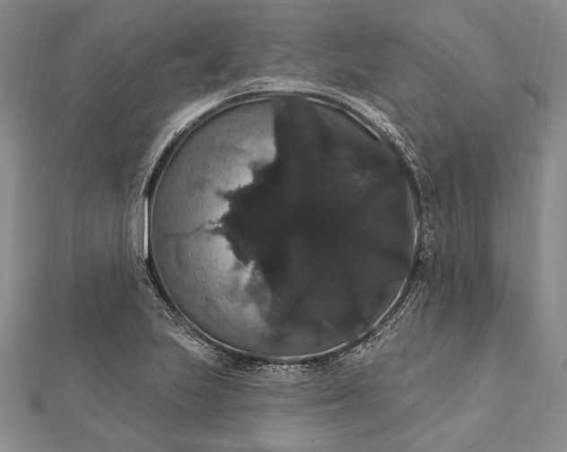 X0000111911223200908101153