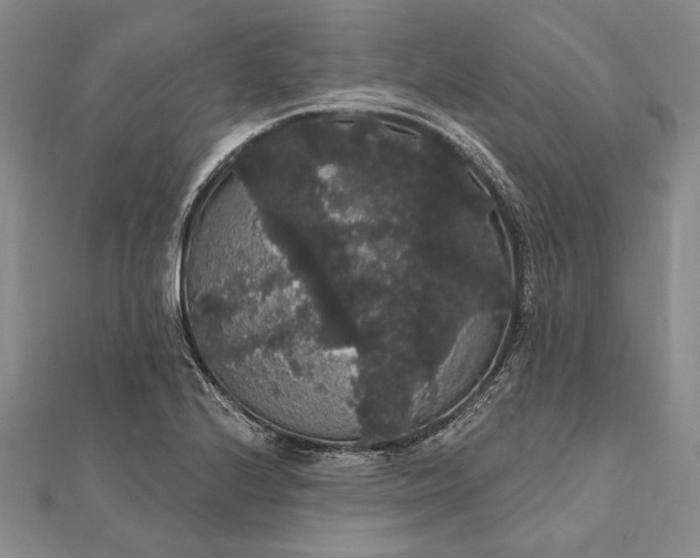 X0000111911224200908101153