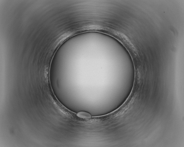 X0000111911225200908101154