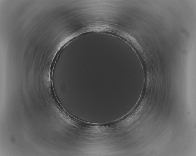 X0000111911226200908101154