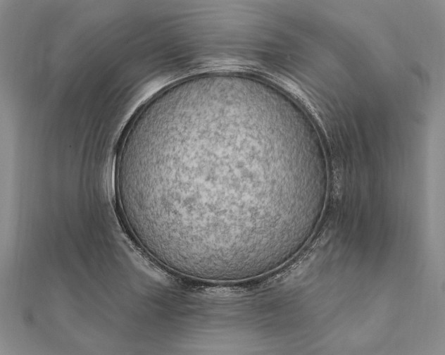 X0000111911227200908101154