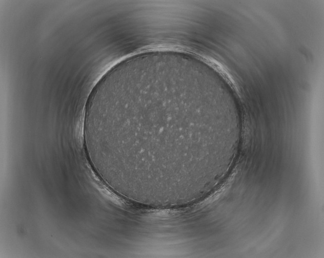 X0000111911228200908101154