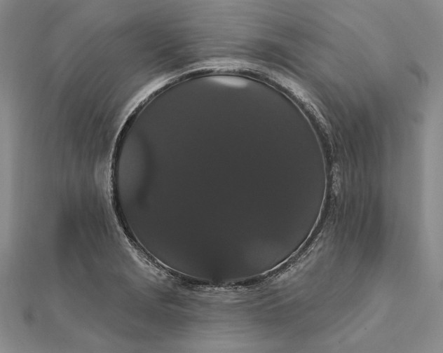 X0000111911229200908101154