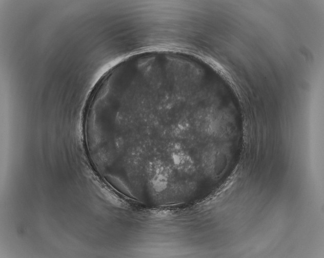 X0000111911230200908101154