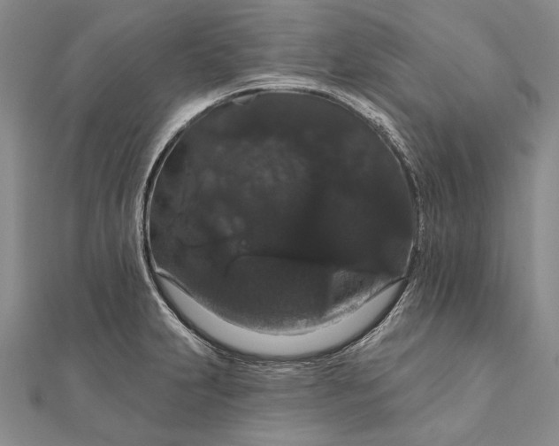 X0000111911231200908101154