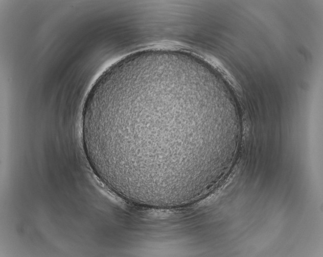 X0000111911232200908101154