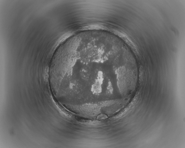 X0000111911233200908101154