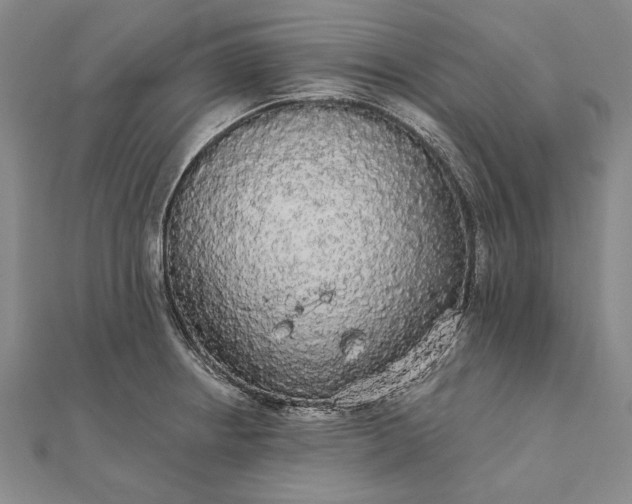 X0000111911234200908101154