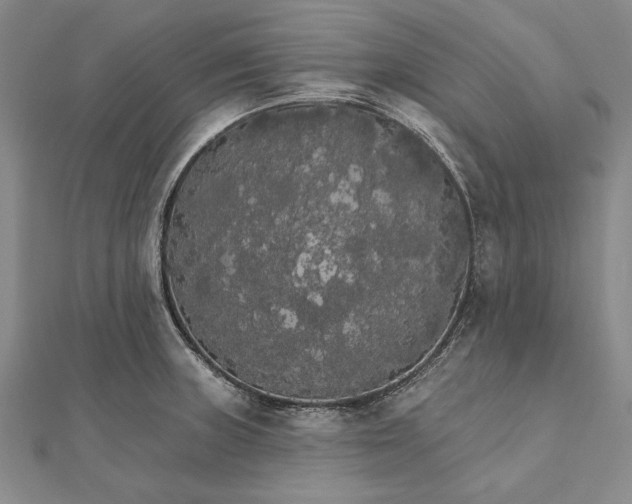 X0000111911235200908101154