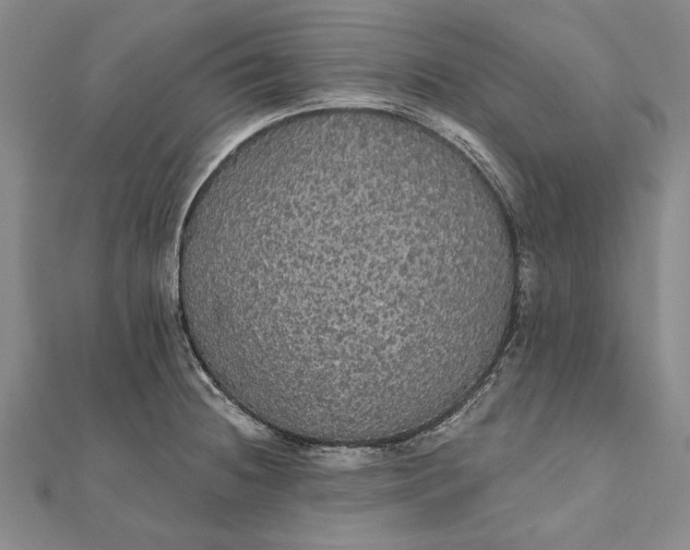 X0000111911236200908101154