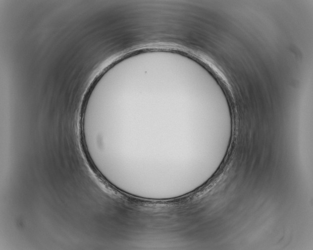 X0000111911237200908101154