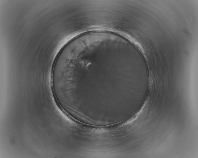 X0000111911239200908101154