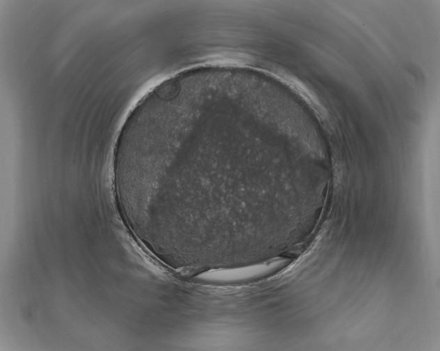 X0000111911240200908101154