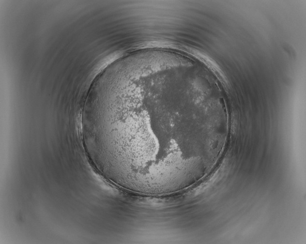 X0000111911241200908101154