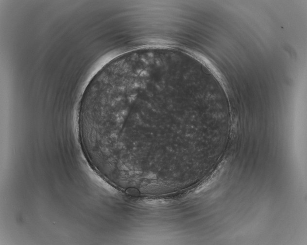 X0000111911243200908101154