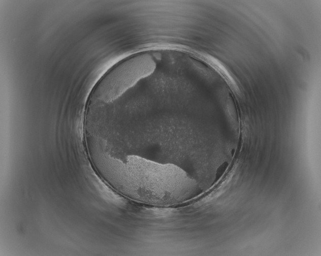 X0000111911244200908101154