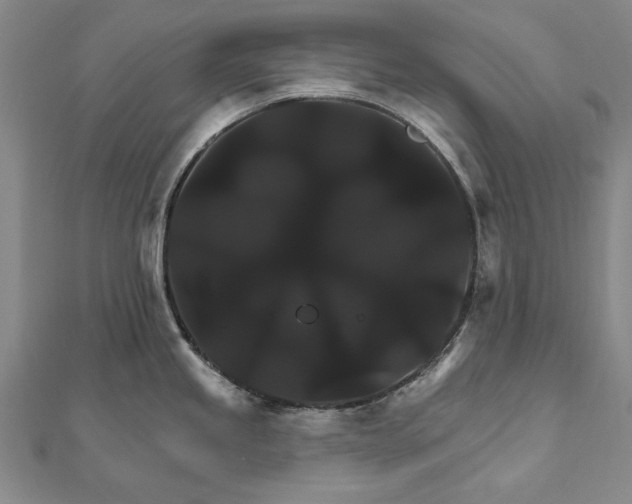 X0000111911245200908101154