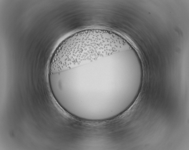 X0000111911246200908101154