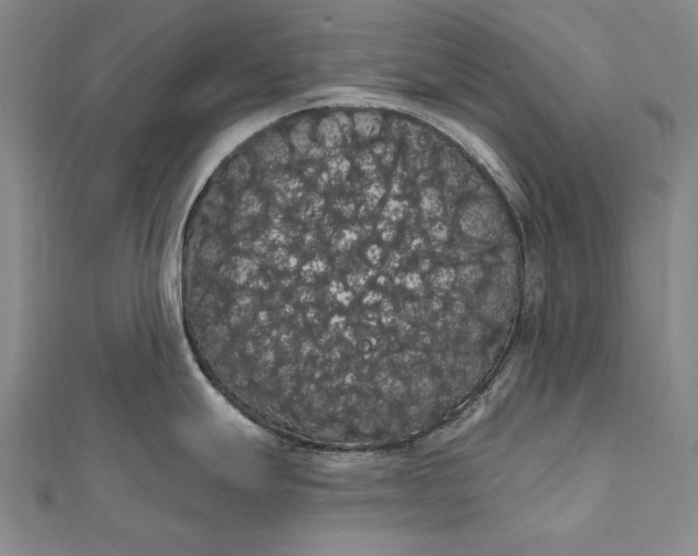 X0000111911247200908101154