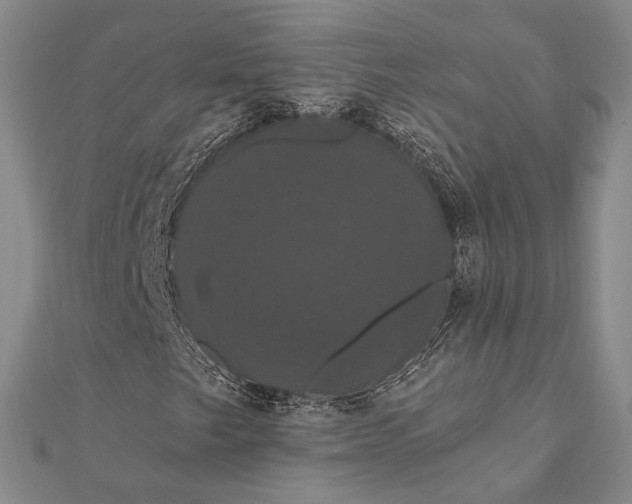 X0000111911249200908101153