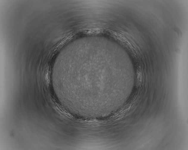 X0000111911250200908101153