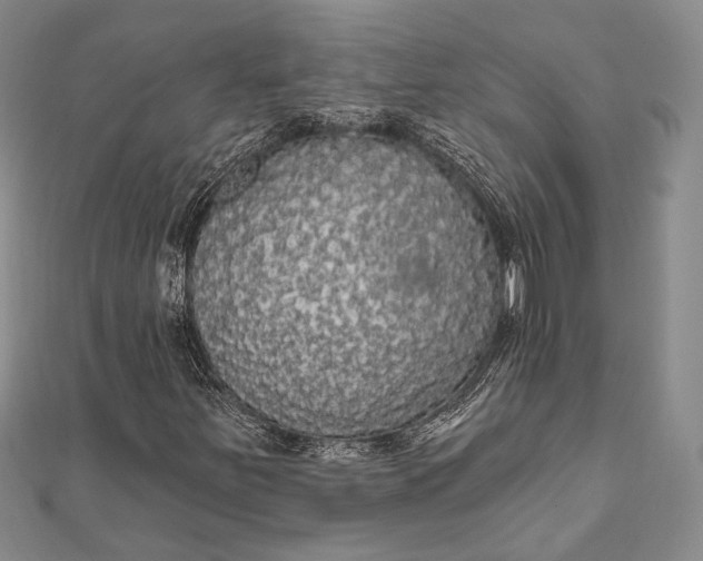 X0000111911251200908101153