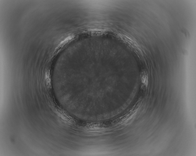 X0000111911252200908101153